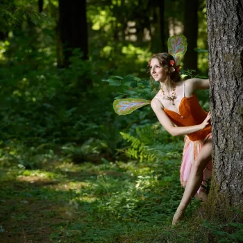 Fairy in forest
